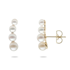 MAUI DIVERS Akoya Pearls Earrings in Gold